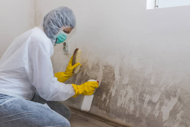 Best Mold Odor Removal Services  in Butner, NC