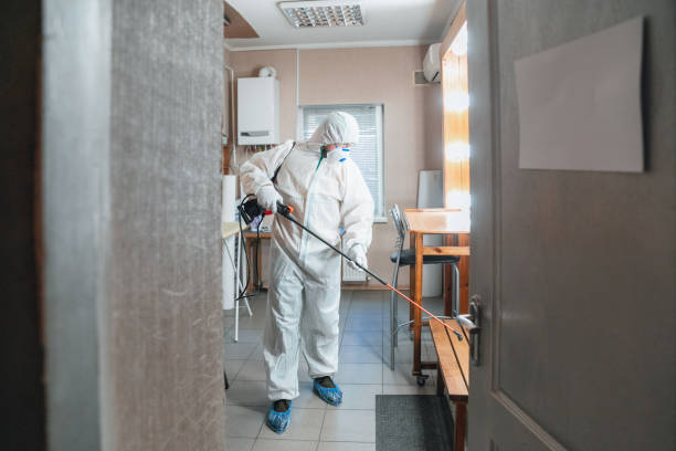 Best Environmental Consulting for Mold Prevention  in Butner, NC