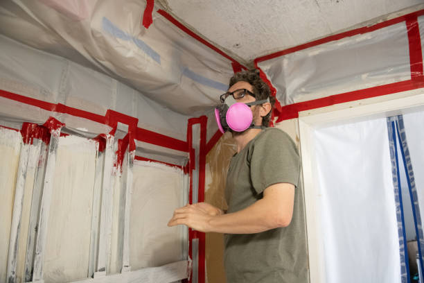 Best Residential Mold Inspection & Testing  in Butner, NC