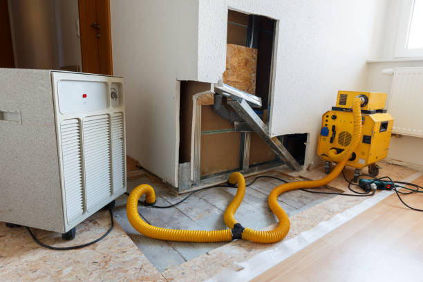 Best Emergency Mold Remediation  in Butner, NC