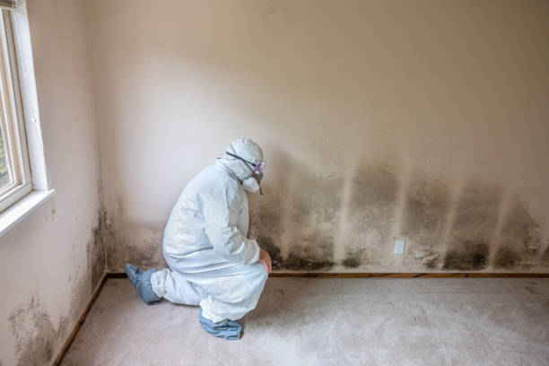 Best Biohazard Mold Removal  in Butner, NC